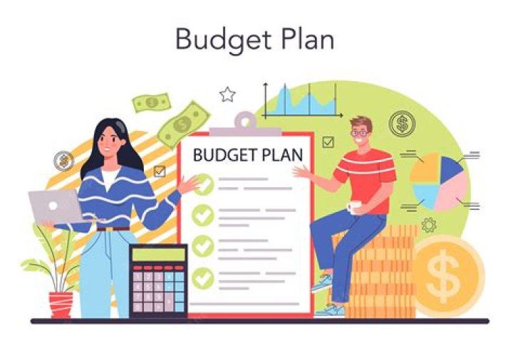 Are budgets used for planning?