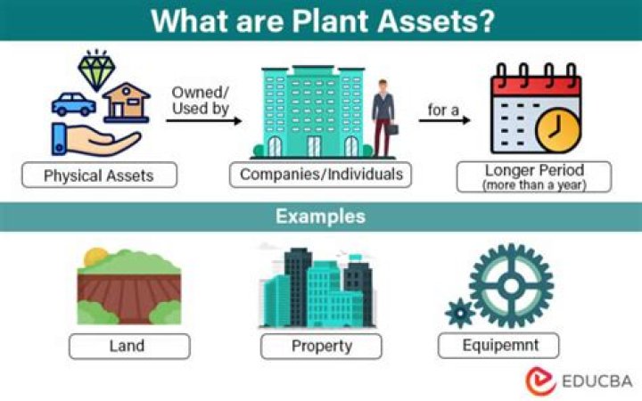 Are buildings plant assets?