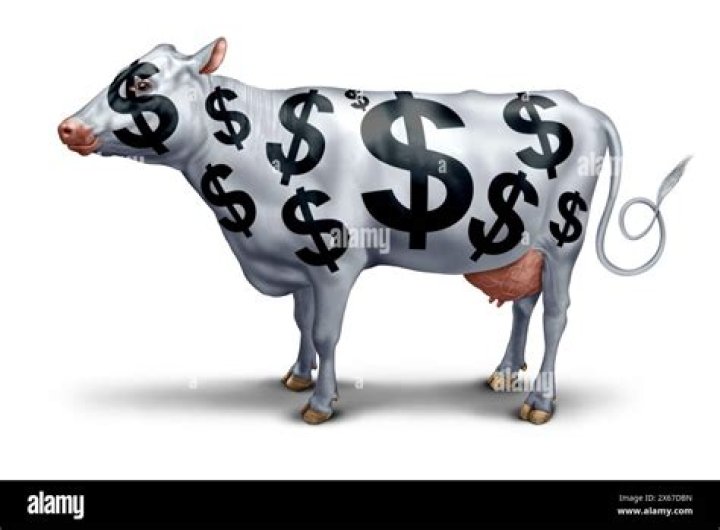 Are cash cows profitable?
