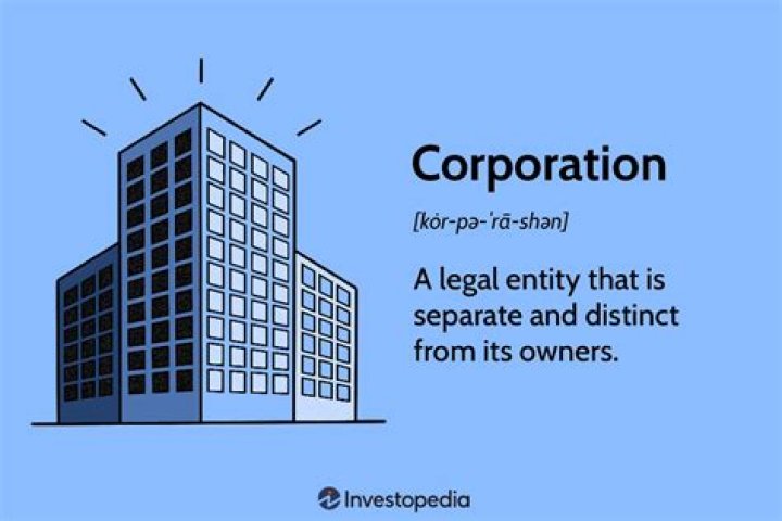 Are government corporations considered business Why or why not explain?