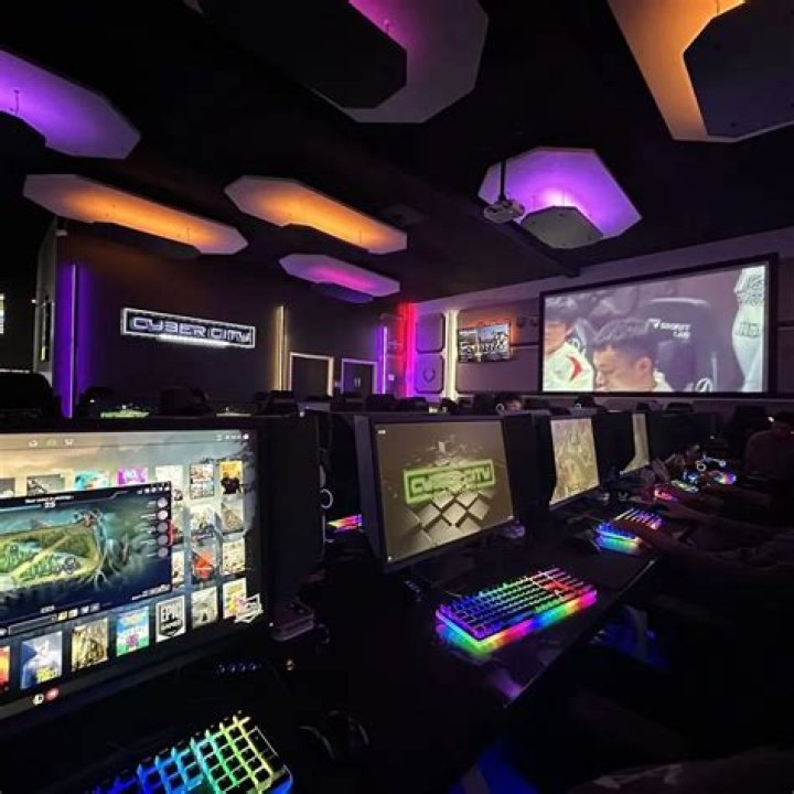 Are internet cafes profitable?