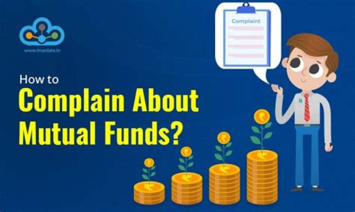 Can mutual funds borrow from money market?