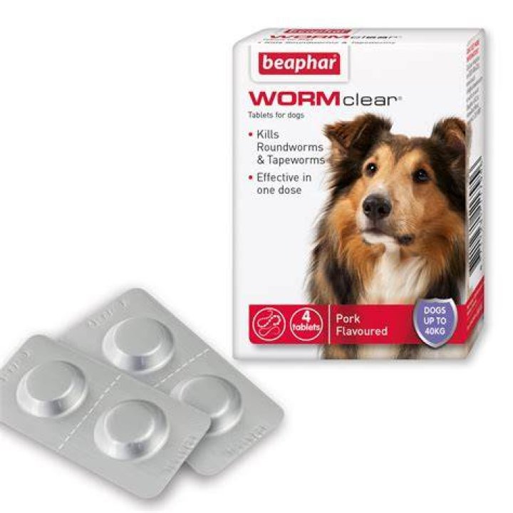 Can too much worm medicine kill a dog?