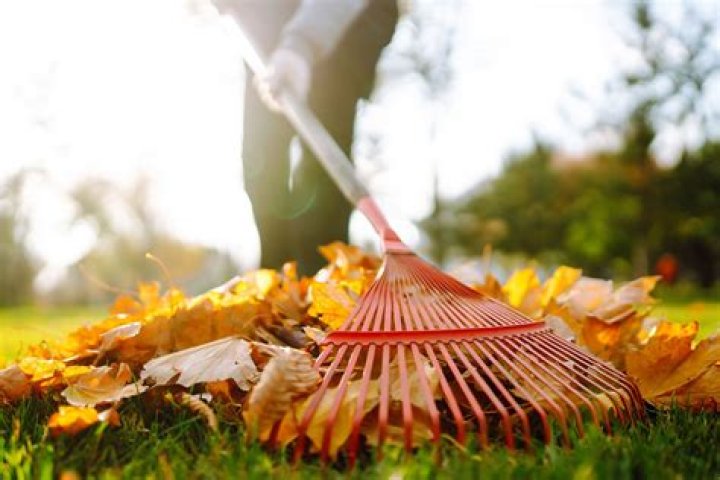 Can you make money raking leaves?