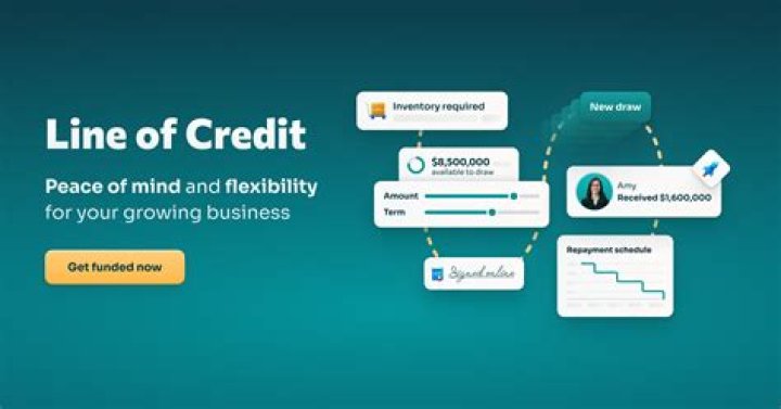 Can you withdraw cash from a business line of credit?