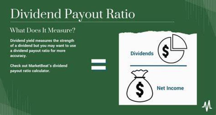 Do dividend payouts affect net income?