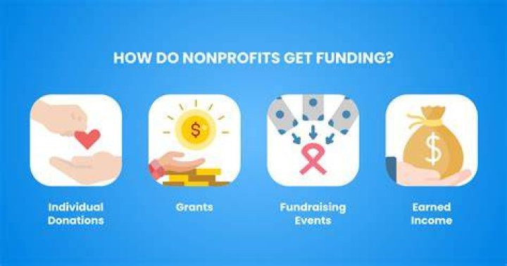 Do nonprofits need accountants?
