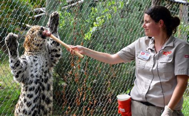 Do zookeepers clean the animals?