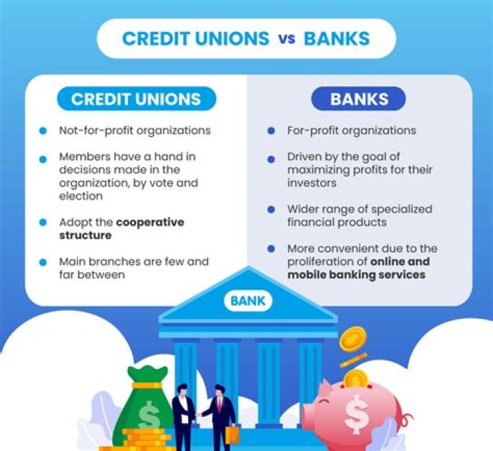 Does a credit union make a profit?