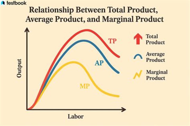 Does average product rise as total product rises?