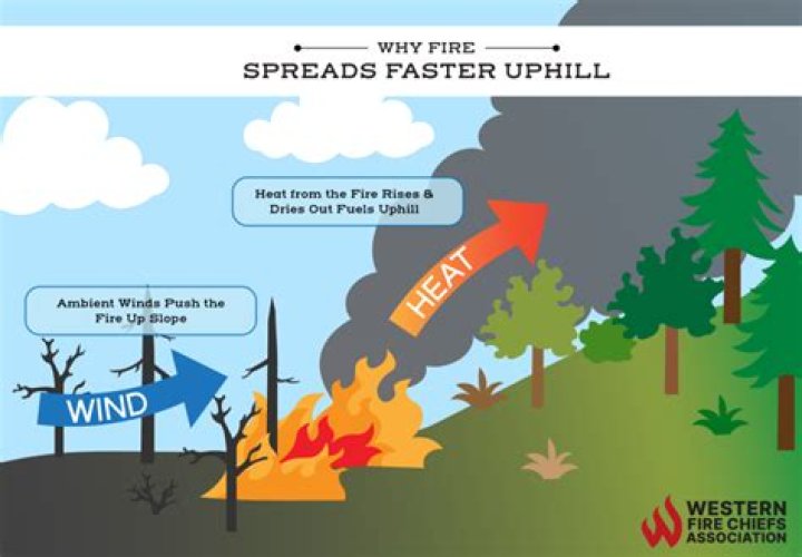 Does bad news spread faster?