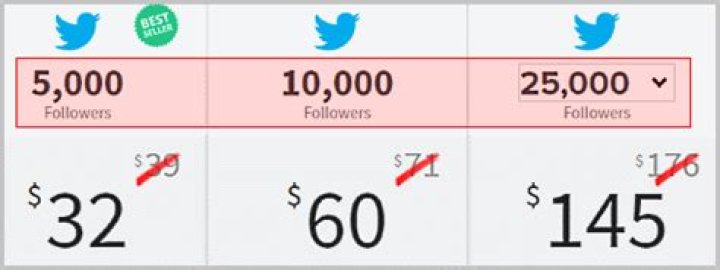 Does buying Twitter followers work?