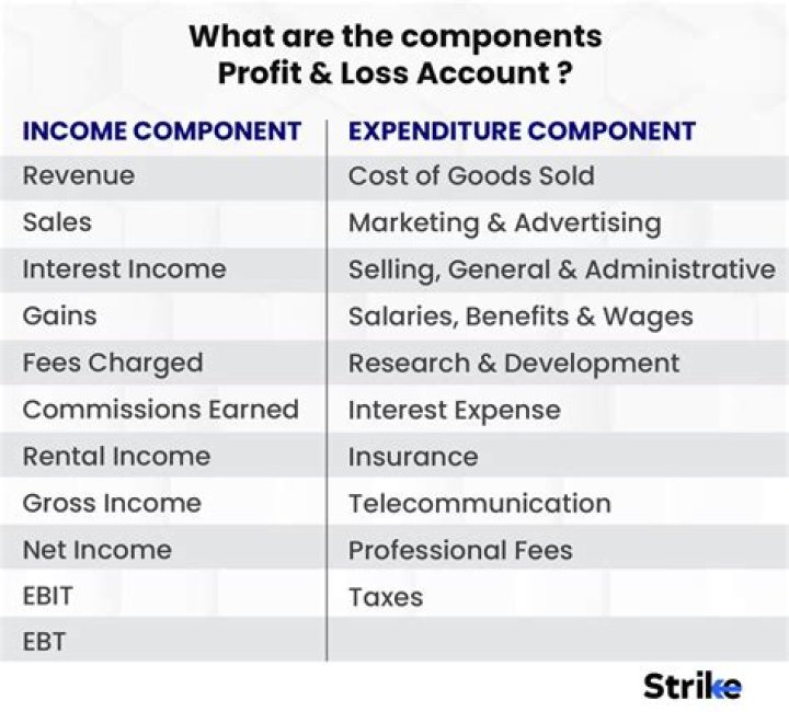 Does interest come in profit and loss account?