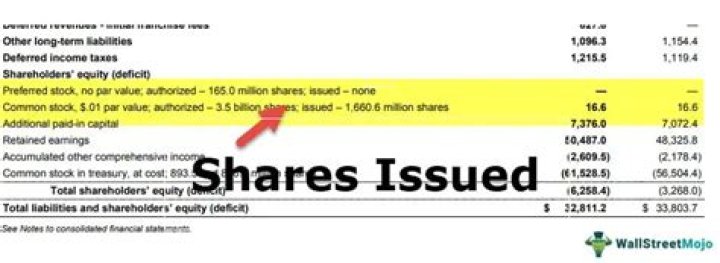 Does issuing stock affect income?