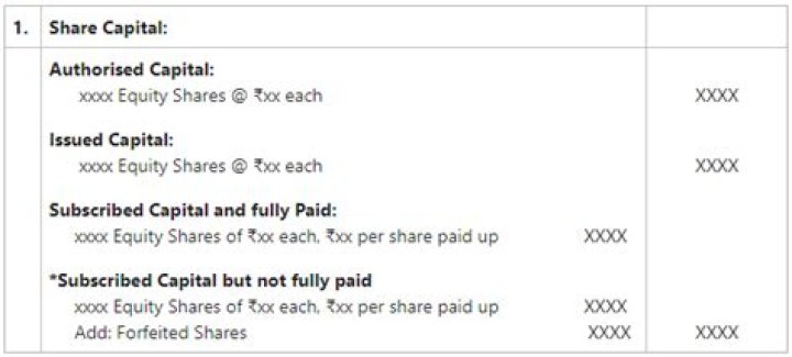 Does paid up share capital include preference shares?