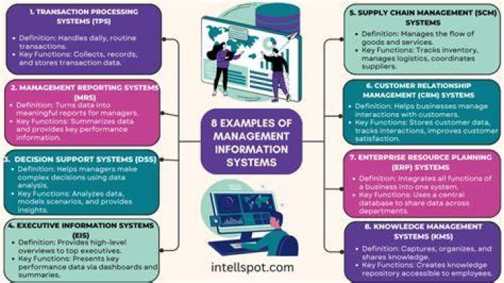 How are information systems used in business?