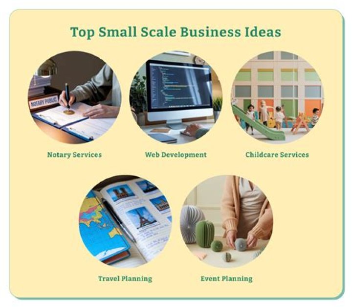 How consultancy services are helpful to small scale entrepreneurs?