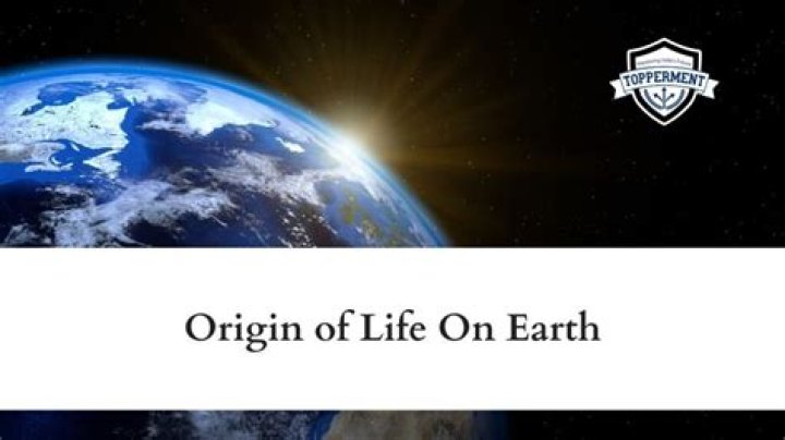 How did life form on Earth?