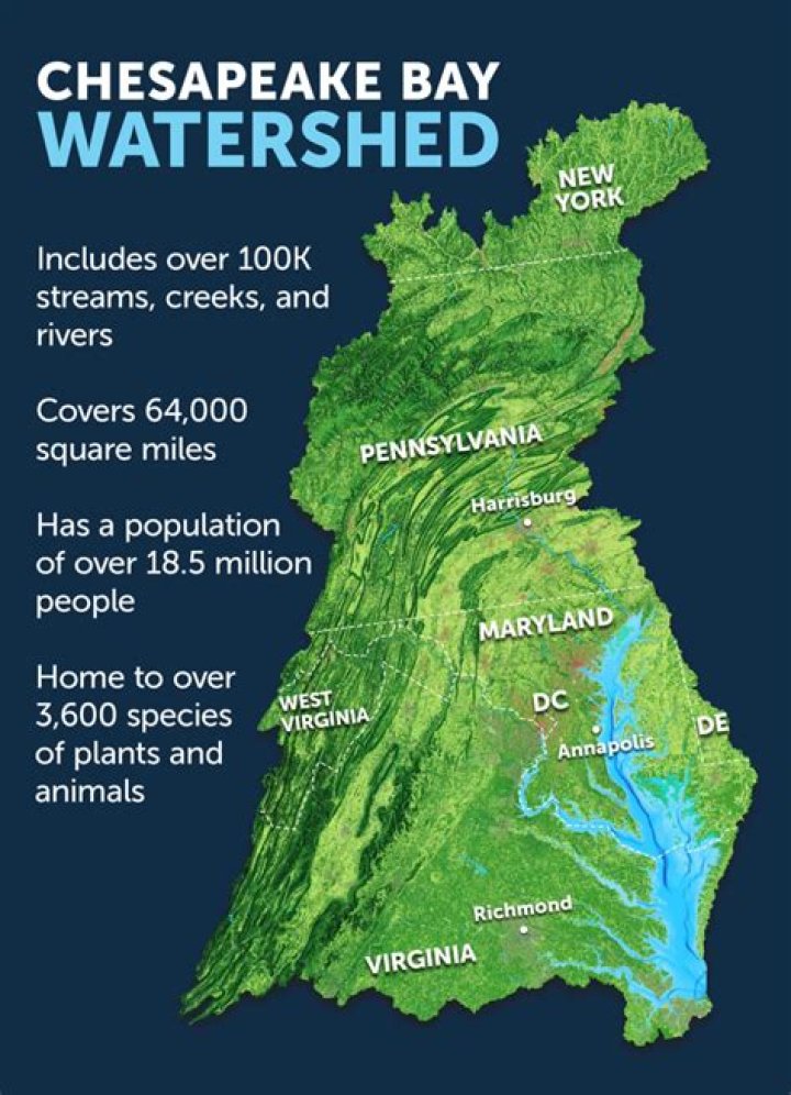 How did the Chesapeake Bay influence development?