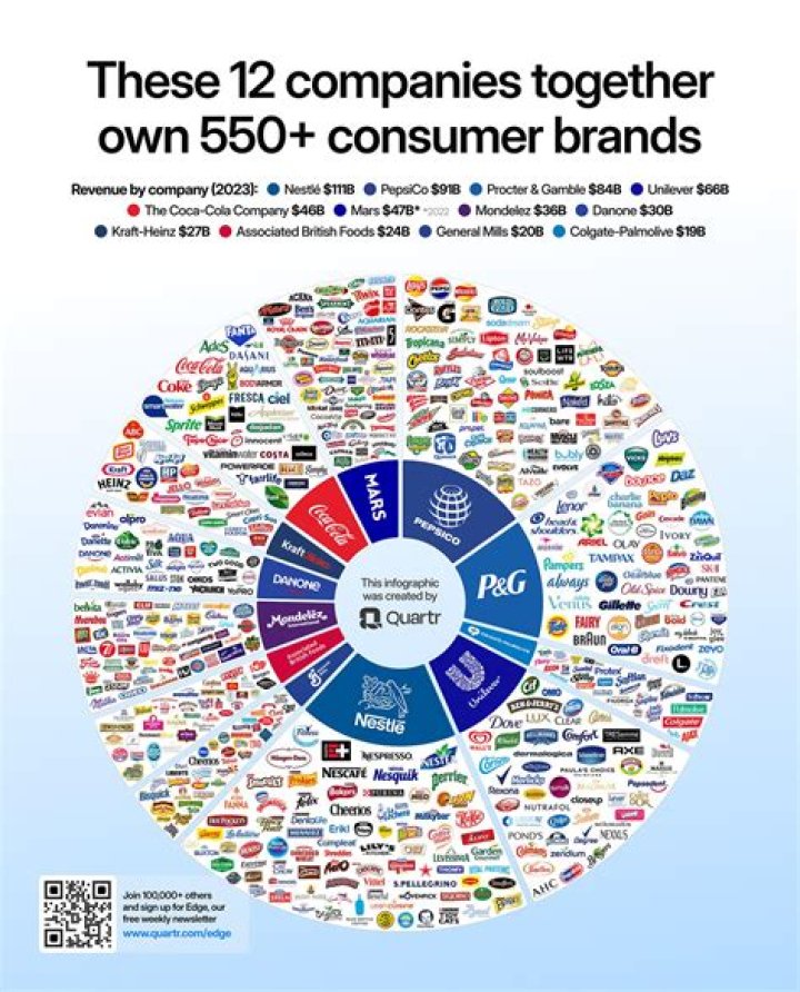 How do government corporations differ from other corporations in the United States?