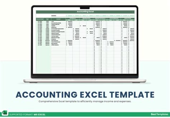 How do I complete accounting software in Excel?