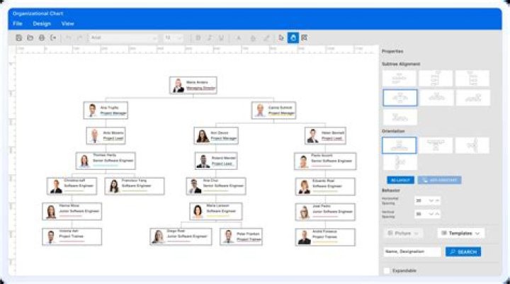 How do I view an organizational chart?