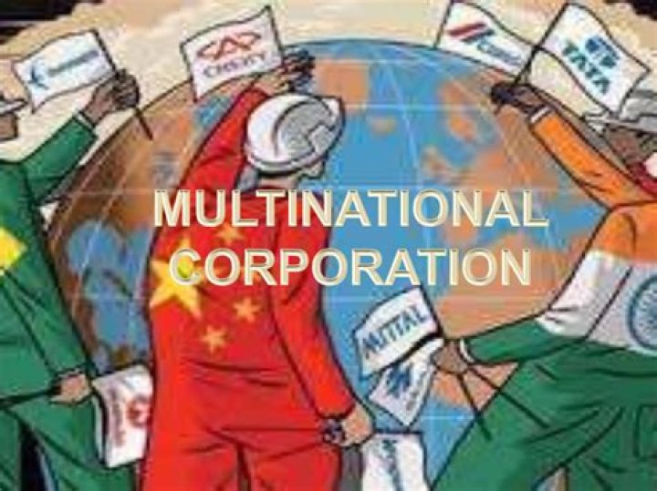 How do multinational companies operate?