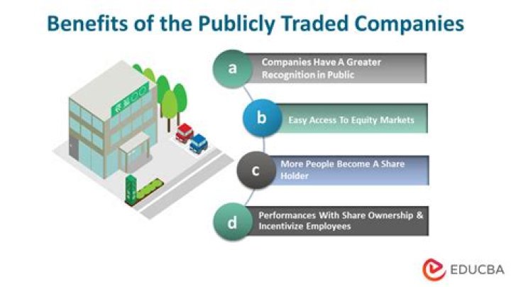 How do publicly traded companies work?