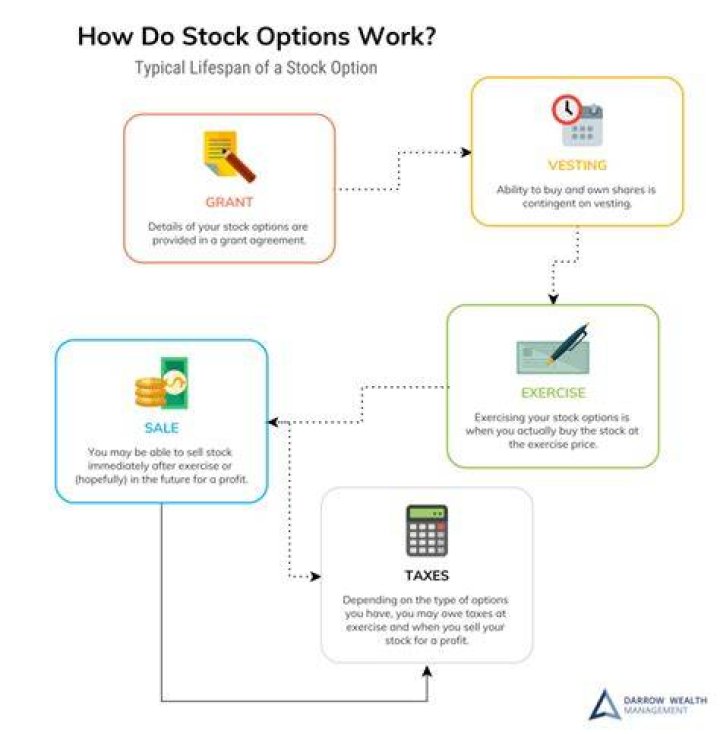 How do stock option programs work?