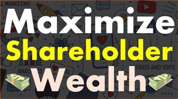 How do we measure shareholders wealth?