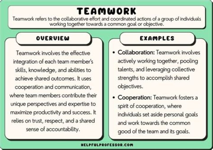 How do you demonstrate work collaboratively?