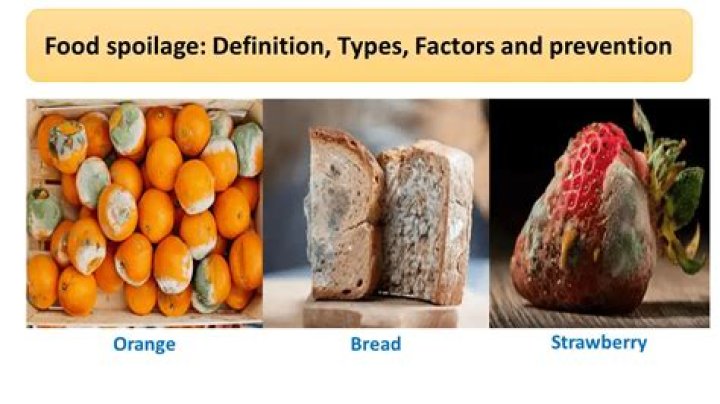 How do you determine abnormal spoilage?