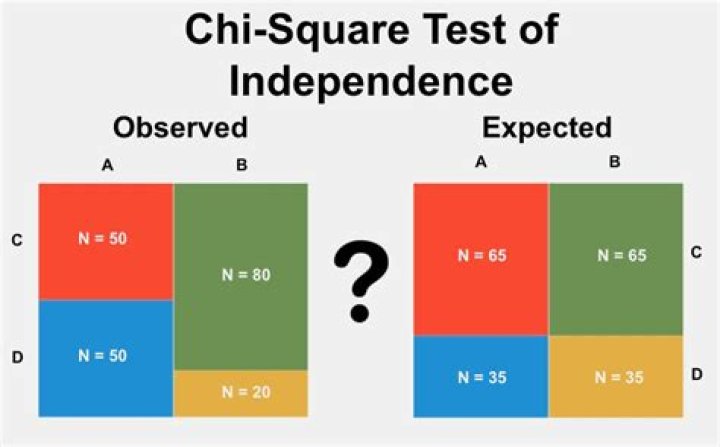 How do you do a chi-square test for independence?