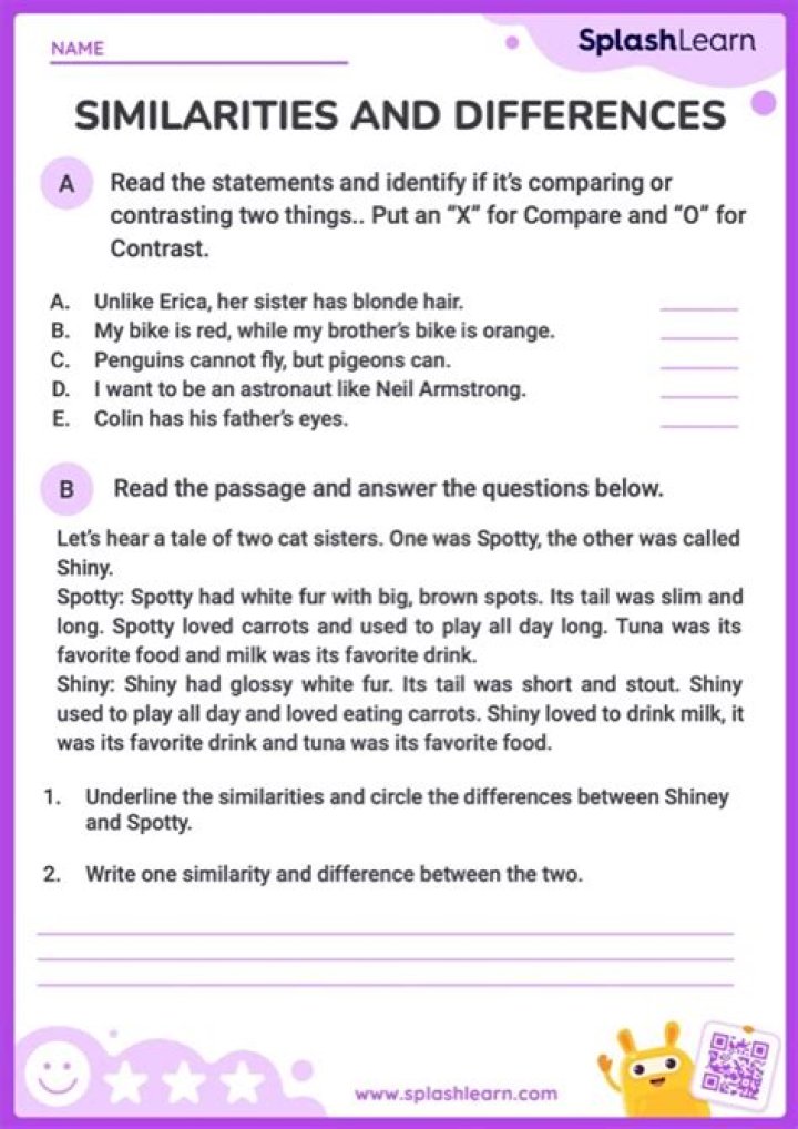 How do you explain similarities and differences?
