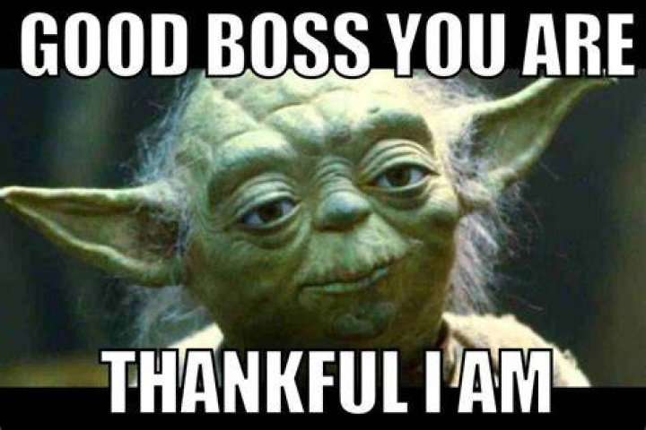 How do you know a good boss?