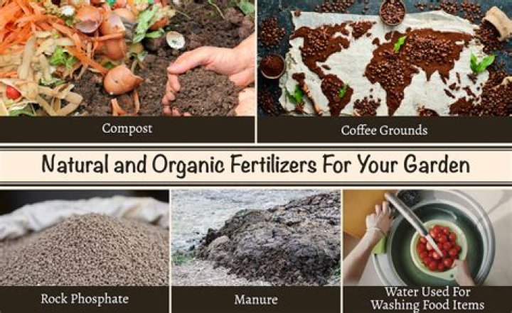 How do you make organic fertilizer?