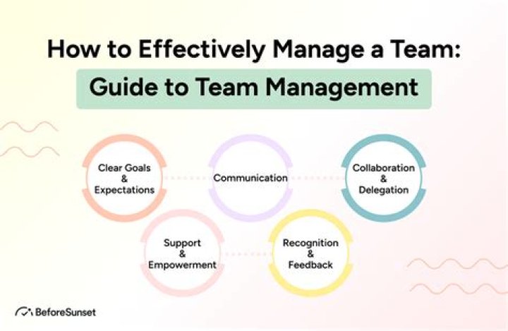 How do you manage a large team?