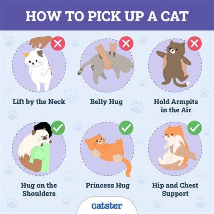 How do you pick a catchy name?