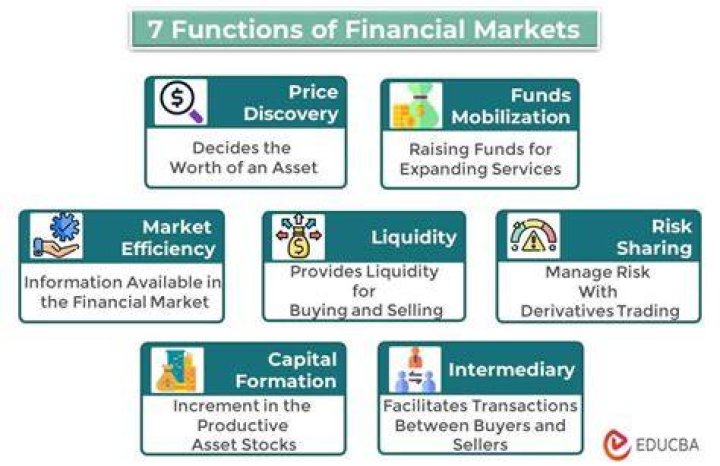 How do you say financial markets are efficient?