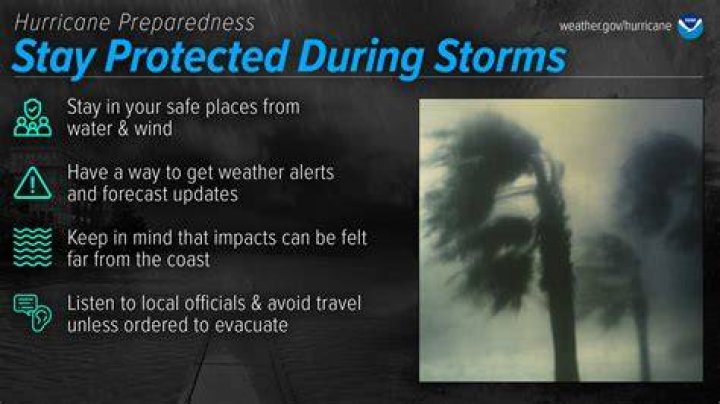 How do you stay safe during a dust storm?