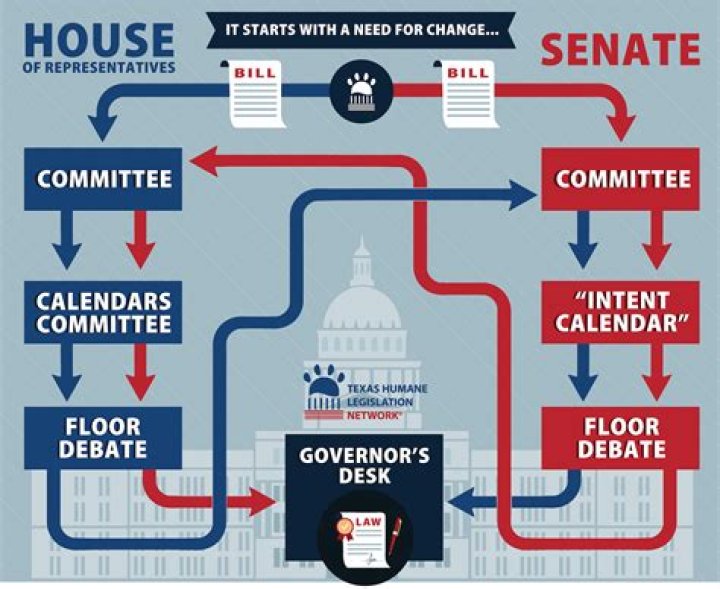 How does a government control a market?