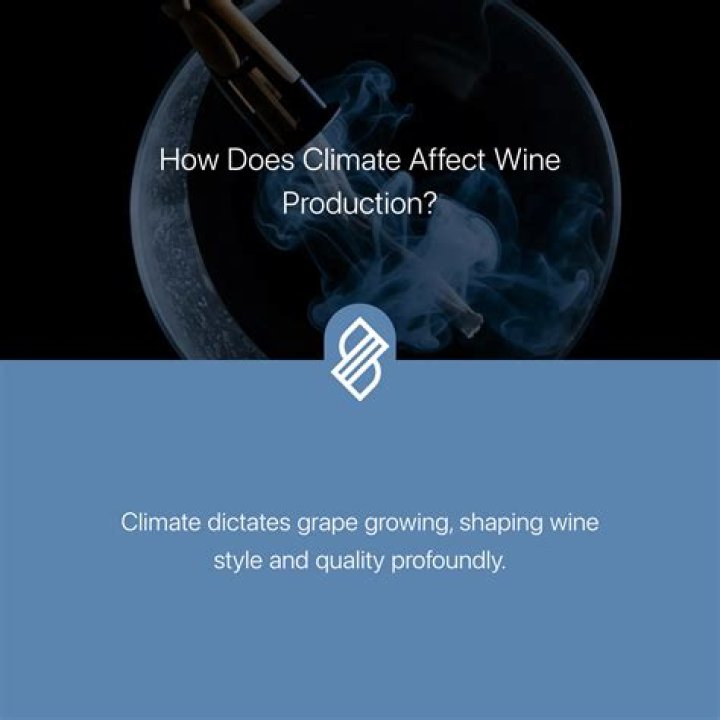 How does climate affect wine production?