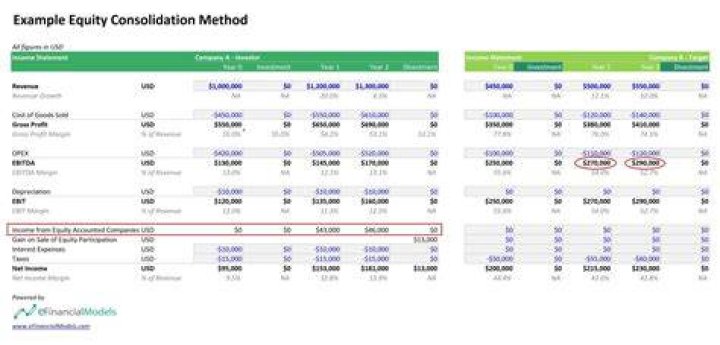 How does consolidation affect financial statements?