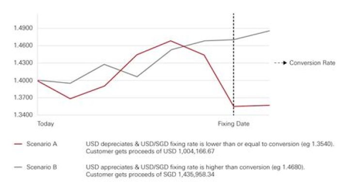 How does dual currency investment work?