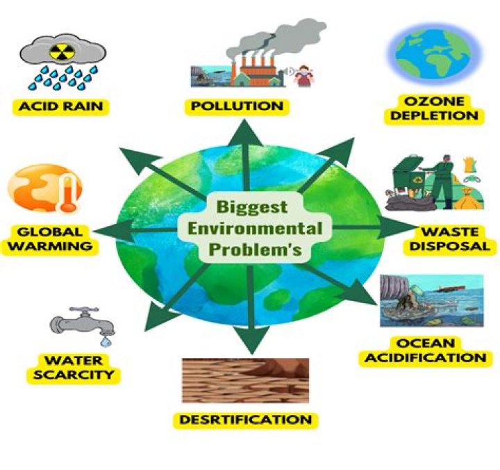How does environmental issues affect business?