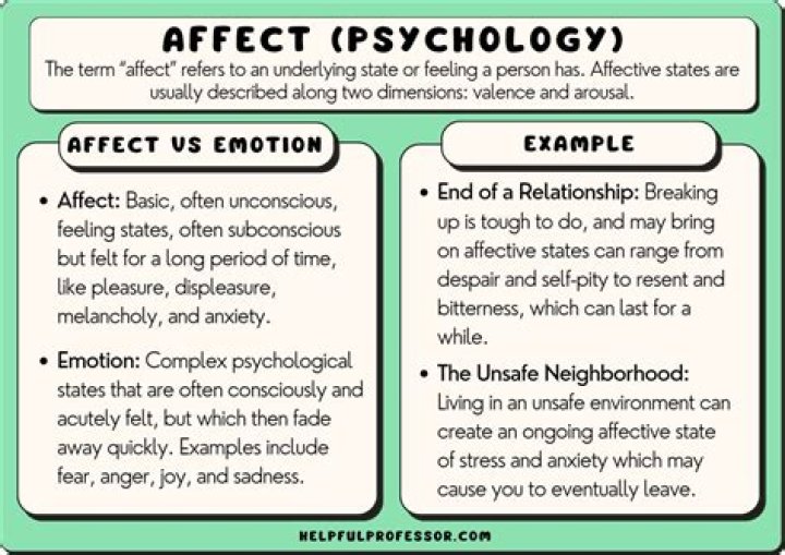 How does IT affect an organization?