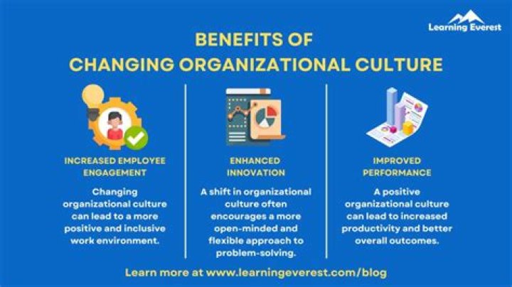 How does organizational culture improve performance?