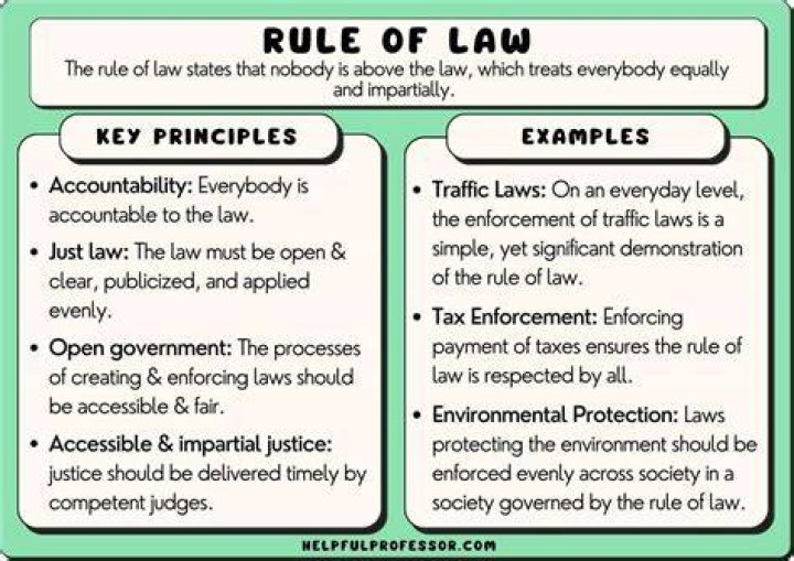 How does rule of law promote business activity?