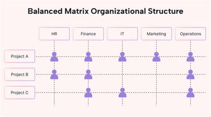 How does the matrix organization affect project management?