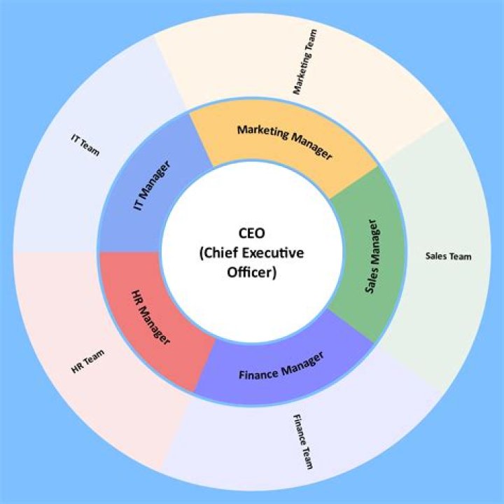 How does the use of a service organization impact the user entity auditor?
